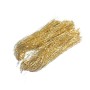 Axxel Flash Gold