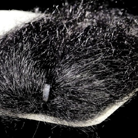 Ghost Hair Black