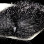 Ghost Hair Black
