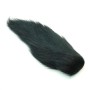 Bucktail Sort