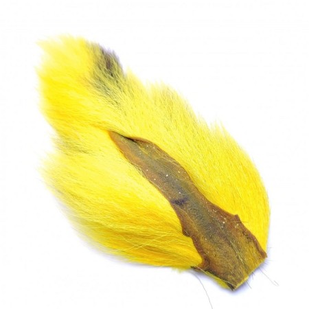Bucktail Gul