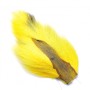 Bucktail Gul
