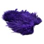 Whiting SH/C Purple american hen