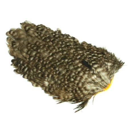 Whiting 4b høne saddle Dun grizzly