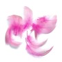 Mallard flank fjer Fl. Pink