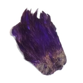 Hane nakke Purple indisk