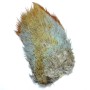 Natures spirit Fasan rump patch Natur