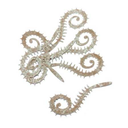 Spiked tail brown M