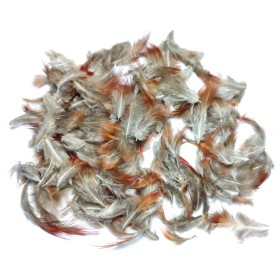 Guldfasan fjer - Natur rød 5 gram