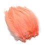 Hane fjer Pink Salmon