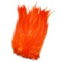 Hane fjer Orange