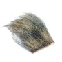 Vildsvine børster Natur - Boar bristle