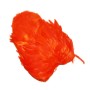 Whiting SH/C Orange american hen