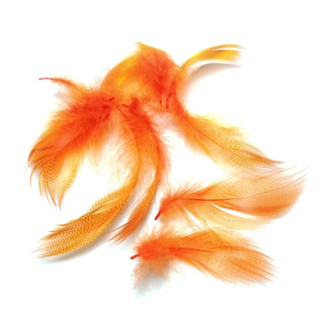 Mallard flank fjer Fl. Orange