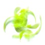 Mallard flank fjer Chartreuse