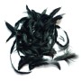 Soft hackle Sort