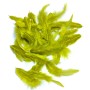 Soft hackle Golden yellow olive