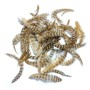 Soft hackle Grizzly Tan