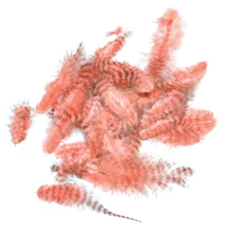 Soft hackle Grizzly Shrimp Pink