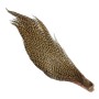 Hareline half cape Grizzly tan
