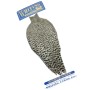 Whiting Grizzly american hane nakke
