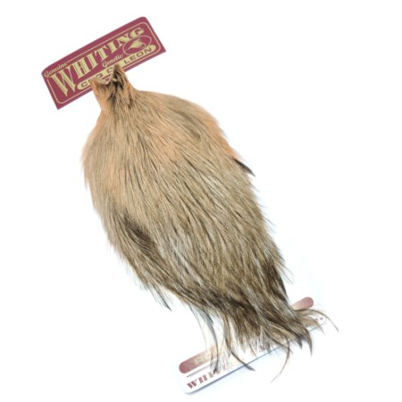 Whiting Salmon badger Coq de Leon hane nakke