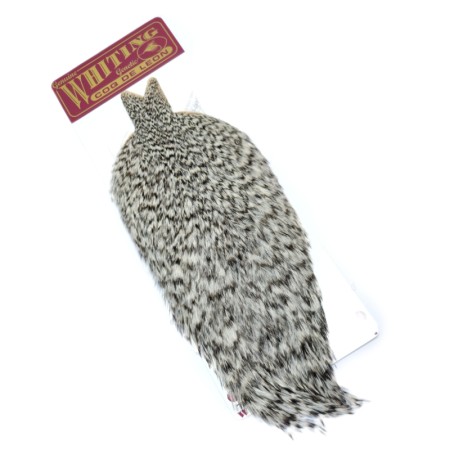 Whiting Coq de Leon Grizzly hane nakke
