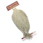 Whiting Pardo Grizzly Coq de Leon hane nakke