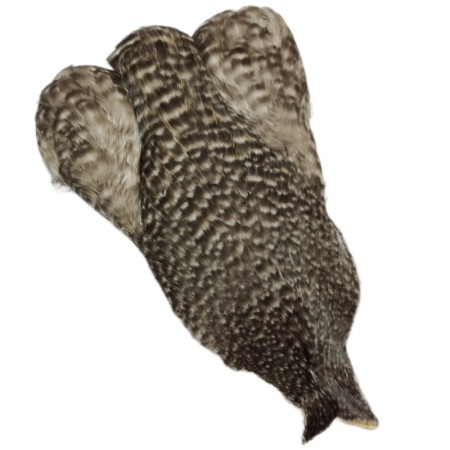 Whiting Grizzly 4b Høne nakke