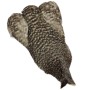 Whiting Grizzly 4b Høne nakke