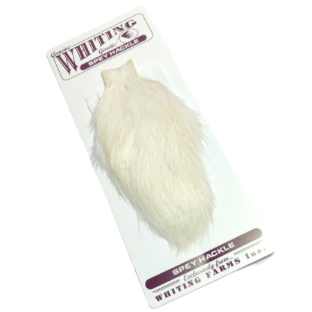 Whiting Spey høne nakke hvid