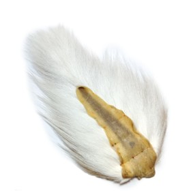 Bucktail Fl. White