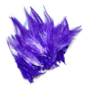 Hane saddle fjer Purple