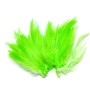 Hane fjer Fl. Chartreuse