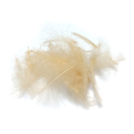 CDC cream premium