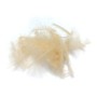 CDC cream premium