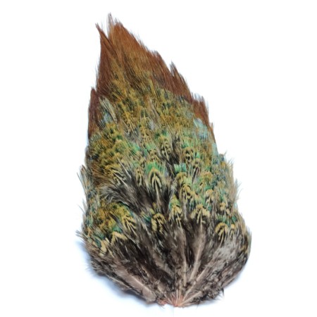 Fasan rump patch Natur