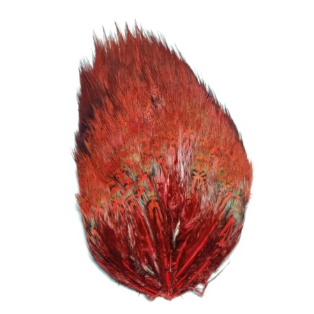 Fasan rump patch Rød