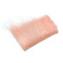 Nutria Salmon