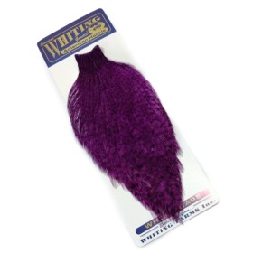 Whiting american hane nakke grizzly purple