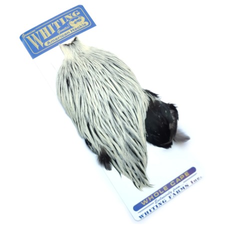 Whiting Silver Badger american hane nakke