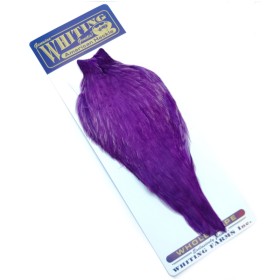 Whiting hane nakke Purple american