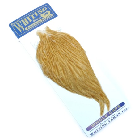 Whiting Medium ginger american hane nakke