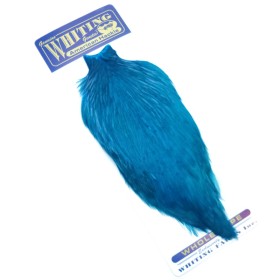 Whiting american hane nakke King Fisher blue
