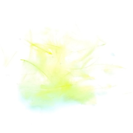 CDC pale yellow premium