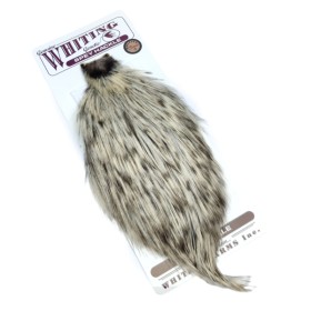 Whiting Spey Hane nakke Variant 2 - Bronze