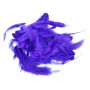 Soft hackle Purple