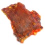 Kanin skind barred Tigerdyr gul - orange med sorte striber