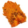 Whiting 4b høne saddle Burnt orange