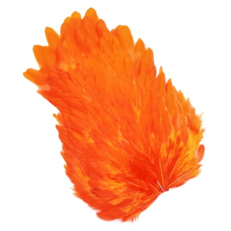Whiting 4b høne saddle Orange